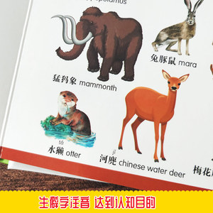 199个启蒙知识/物品、食物、恐龙、交通工具、动物、海洋动物 桃乐工作室 著 低幼启蒙 少儿 哈尔滨出版社