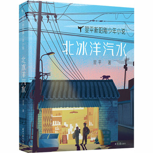 北冰洋汽水 翌平 著 儿童文学 少儿 北京日报出版社