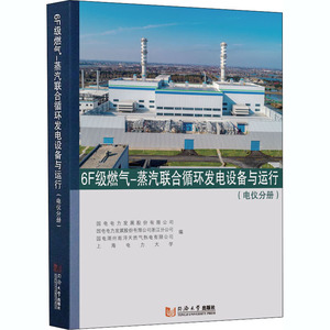 6F级燃气-蒸汽联合循环发电设备与运行（电仪分册） 国电电力发展股份有限公司/国电电力发展股份 著 水利电力 专业科技