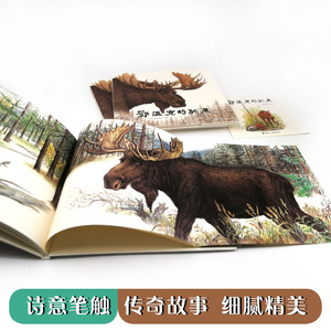 鄂温克的驼鹿 格日勒其木格？黑鹤 著作 儿童文学 少儿 接力出版社