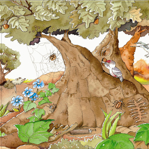 小屁孩爱科学 科普图画书 好读更好看 (西)诺莉娅·罗卡,(西)艾姆帕·那梅奈斯 著;杨慧 译辽宁少年儿童出版社