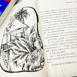 再被狐狸骗一次 沈石溪动物小说 狐狸再骗我一次8-10-12岁小学生1年级寒假推荐课外阅读书 一年级必读 畅销儿童文学