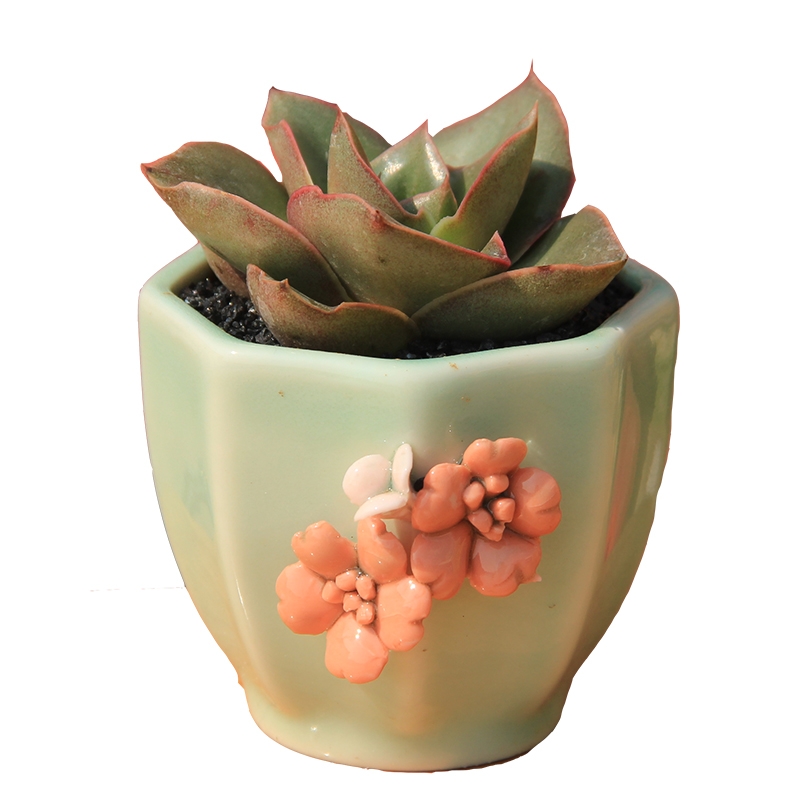 Three sisters flower celadon flower pot ceramic creative hand - made flowers round lovely fleshy flower pot in household indoor the plants