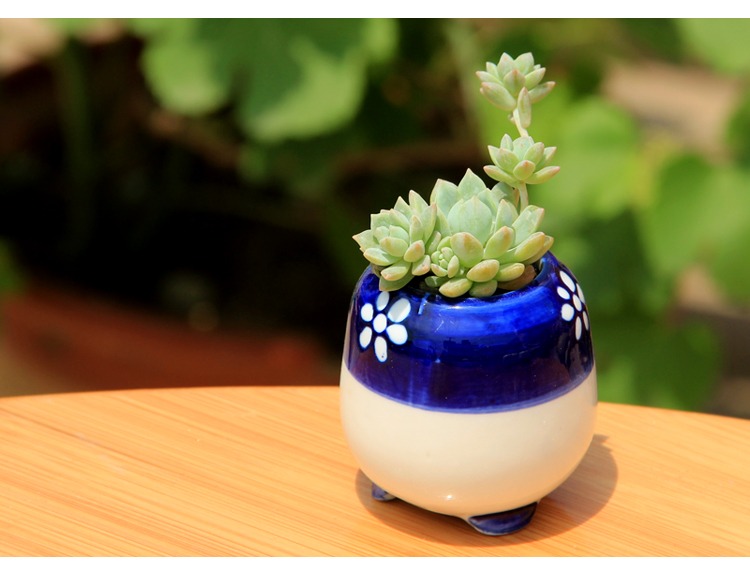 Blue and white thumb meat flowerpot ceramic indoor small stones form creative mini round special offer a clearance flower pot