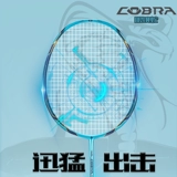 Kawasaki, профессиональная ракетка для бадминтона, красные синие очки, фламинго