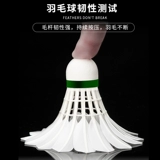 Кавасаки Кавасаки Бадминтон -Клуб -Улис