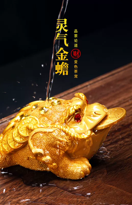 Tao Fuqi Lucky Golden Chan Boutique đồ trang trí thú cưng trà đổi màu có thể hỗ trợ trang trí bàn trà tại nhà khay trà trang trí bàn