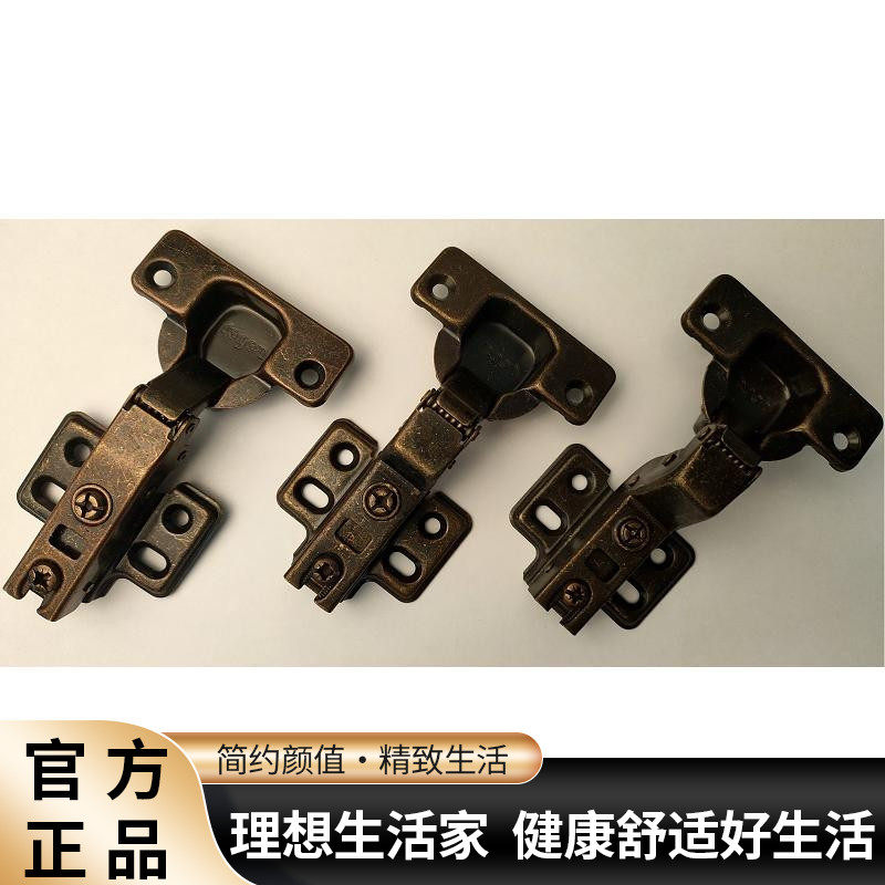 REGEN Bronze Hinge Bronze Hydraulic Damping Hinge Damping Hinge Damping Hinge Door Hinge