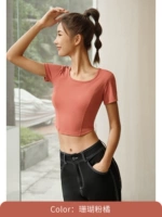 Коралловый порошок оранжевого цвета