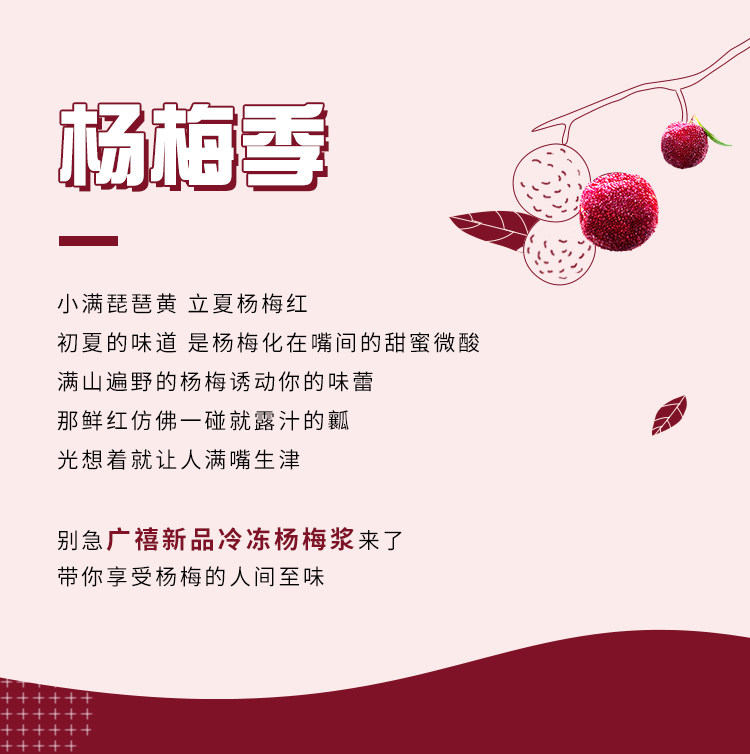 Guangxi Frozen Bayberry Pulp_02.jpg