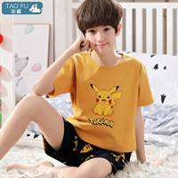 20115 Октра Пикачу мальчик