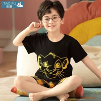 SDM53247 Lion King Boy