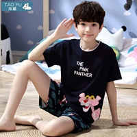 19015 Orchid Panther Boy