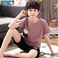 017 Coolbar Bear Boy