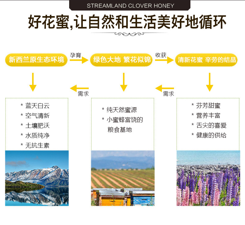 新西兰原装进口 新溪岛 百里香蜂蜜250g 图3