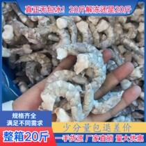 (No Ice Shrimp) No Ice Shrimp Benevolo South American Blue Shrimp Kernel White Shrimp crystal Dry Ice Shrimp Kernel commercial 10kg20 catfish