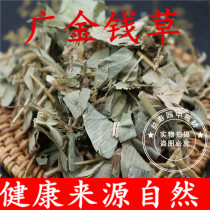 中药材野生大叶金钱草广金钱草广东金钱草茶500克批2斤发