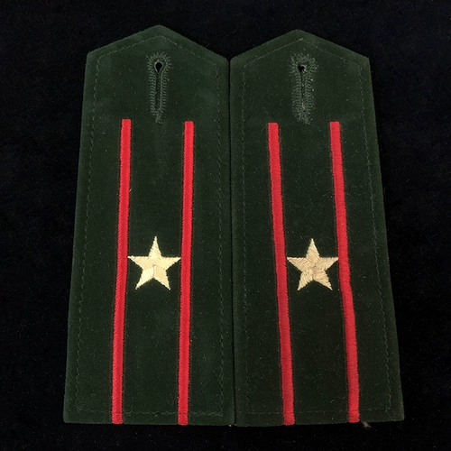Зеленый сувенир, 1987-2006 года, с вышивкой
