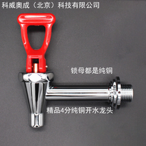 Electric water boiler faucet water dispenser milk tea coffee machine faucet high temperature resistant copper hot drink faucet nozzle