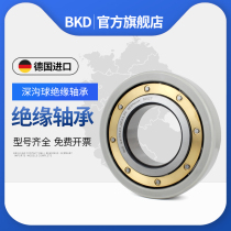 German BKD import insulation bearings 6218 internal insulation 6220 ceramic cover C3 2000V 3000V