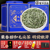 2022 New tea tip tea leaf Xinyang taste of the special bud fragrant green tea bulk cushion tea 500g