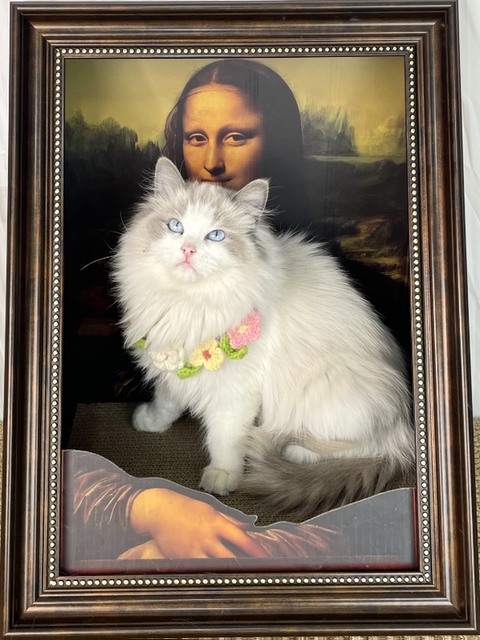 Mona Lisa 4D Stereo Cat Nest Oil Painting Cat Scratching Board with Frame, Integrated Wear-Resistant and Non-Shedding Corrugated Paper Cat Toy
