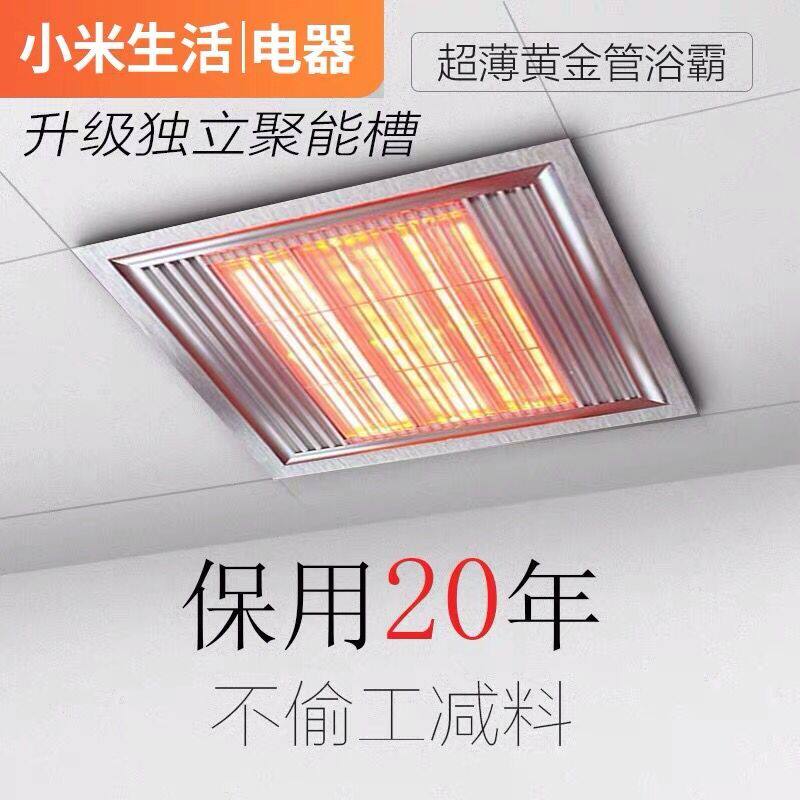 Integrated ceiling bath bullies Gold Tube 30 x 30 * 300 ultra-thin 6cm Makeup Room Flush bathroom Speed Heat Heating