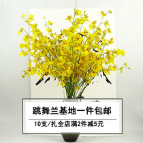 Kunming Fresh Dancing Lan Flower Straight Batch of Yunnan Moon Heart Lan Home Office Fresh Cut Flowers True Flowers