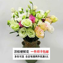 Yunnan Kunming Base Straight Hair Foreign Flower Flowers Flowers Straight Batch of a bottle of flower arrangement Home Fresh Cut Flowers