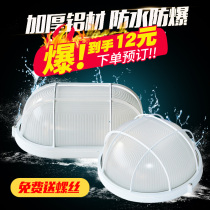 LED moisture-proof lamp Explosion-proof waterproof dust-proof insect-proof lamp Oval bathroom bathroom ceiling lamp Three anti-wall lamp