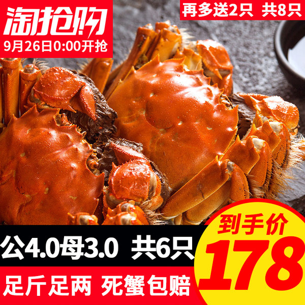 谷源道 鲜活阳澄湖大闸蟹 公4两+母3两各4只 天猫优惠券折后￥138包邮（￥178-40）