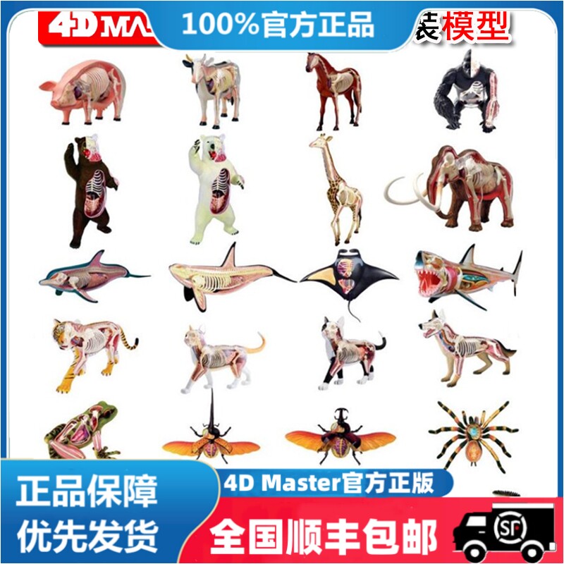 正品 4D MASTER 动物解剖拼装生物模型老虎鲨鱼银19款医学模型