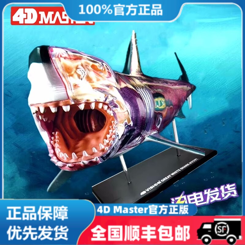 4D Master益智拼装玩具仿真动物生物鲨鱼器官解剖医学用教学模型