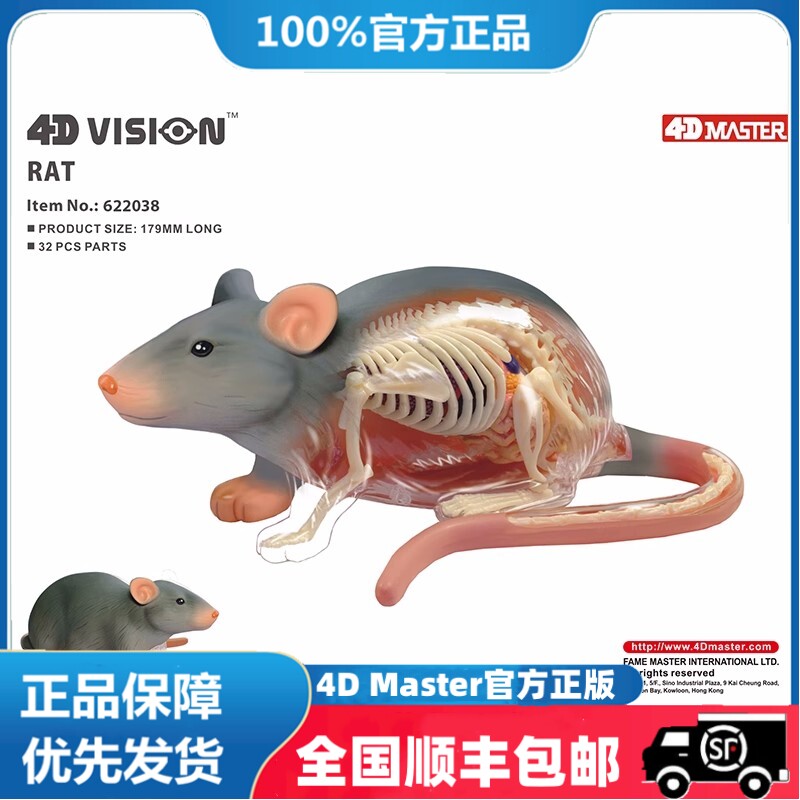 4D MASTER白老鼠解剖内脏骨骼器官模型动物医学教学拼装玩具用具
