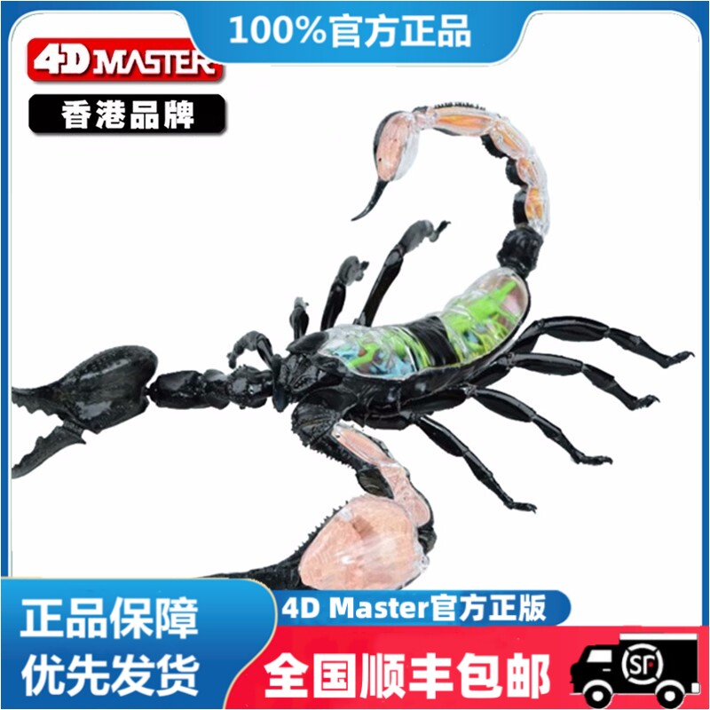 4D Master益智拼装玩具仿真动物生物蝎子器官解剖医学用教学模型