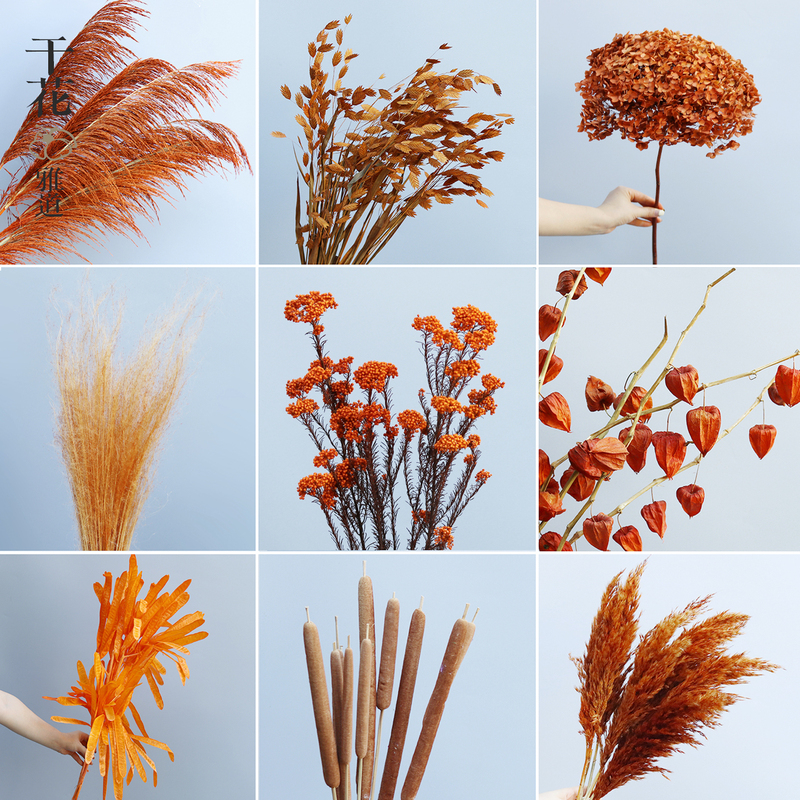 Orange and Yellow Dried Flowers, Autumn and Winter Melard Color Series, Real Flowers, Preserved Flowers, Reed, Hydrangea, Pink and White Dragon Whisker Grass, Hanging Rice Flowers