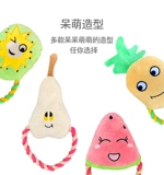 Charmingpet Dog Toy Product