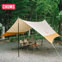 Балдахин 1787 г.