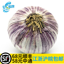 (Blue brand) fresh dried purple skin single head garlic dried garlic garlic 250g