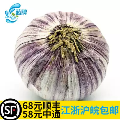 (Blue Brand)Fresh Dried Purple Skin Single Head Garlic Dried Garlic Dried Garlic Head Pesto 250g