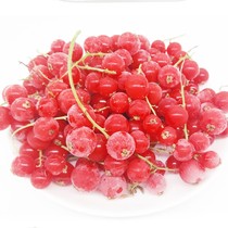 (Blue Label)Fresh red gallon frozen stem red Currant dessert cake pastry decoration plate 200g
