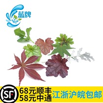 (Blue Brand) Fresh mixed large leaf maple leaf mint head Alum root leaf Japanese food set plate decoration 30 pieces
