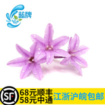 (Blue brand)Fresh starry flowers Mountain garlic flowers Starry flowers Western Japanese dish decoration 40 flowers