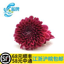(Blue brand) fresh wine red button daisy flowers small chrysanthemum hotel decoration 18