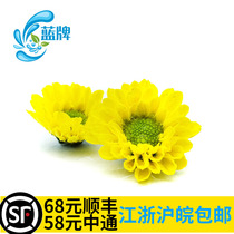 (Blue brand) fresh green heart yellow daisy small chrysanthemum Western food daily set plate decorative flowers 30 flowers and plants