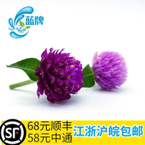 (Blue card) fresh fireball flower red day red day red Daily material hotel Western dining plate decoration 30