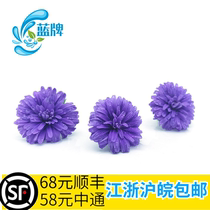 (Blue brand) fresh Dutch chrysanthemum flowers daily Western restaurant decoration 40 non-pansy