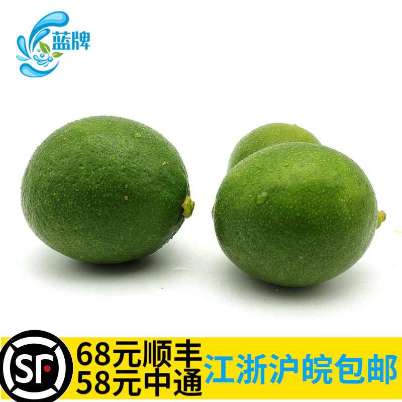 (Blue Brand) Fresh Green Lemon Seedless Green Lemon Green Orange Seedless Lemon Meat Green Skin Thin Juice 500g