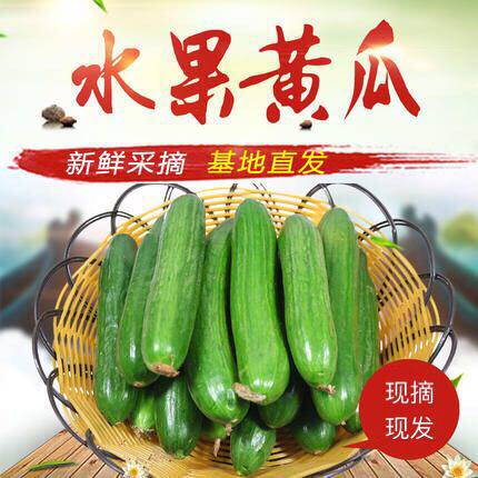蓝牌 水果黄瓜 5斤装 优惠券折后￥19.8包邮（￥24.8-5）