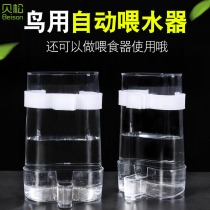 Besson starling parrot Thrush Automatic drinking water kettle feeding feeder Bird feeder Food box Trough Bird supplies